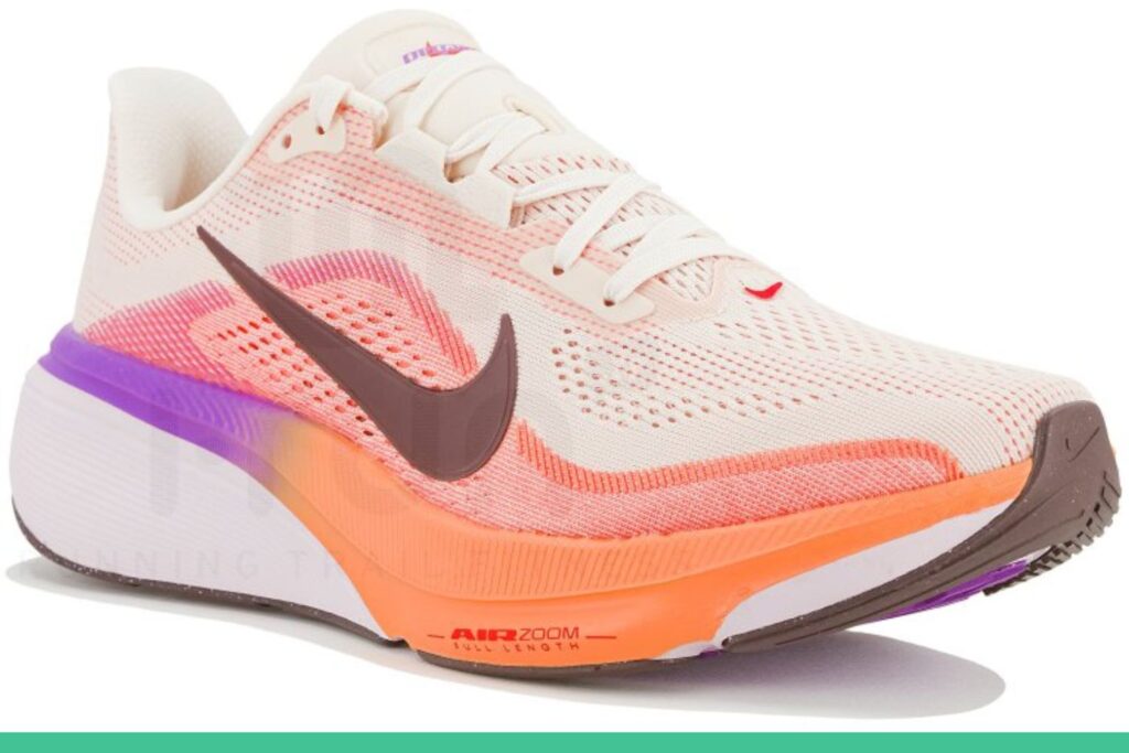 Nike Pegasus 42 mesh