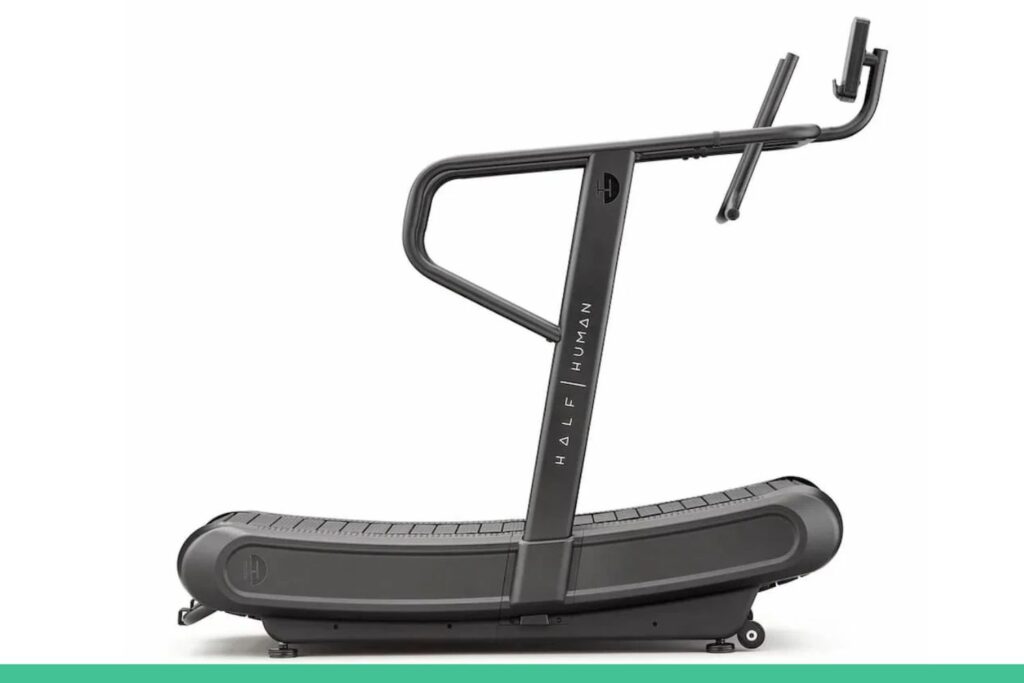 Half Human Curve coté