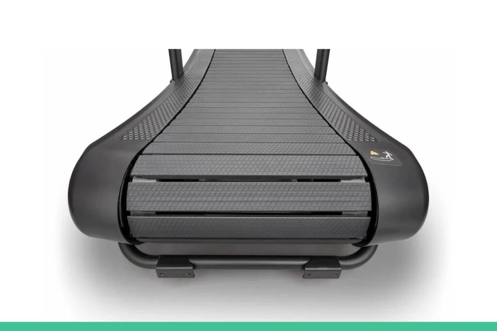 Half Human Curve arriere