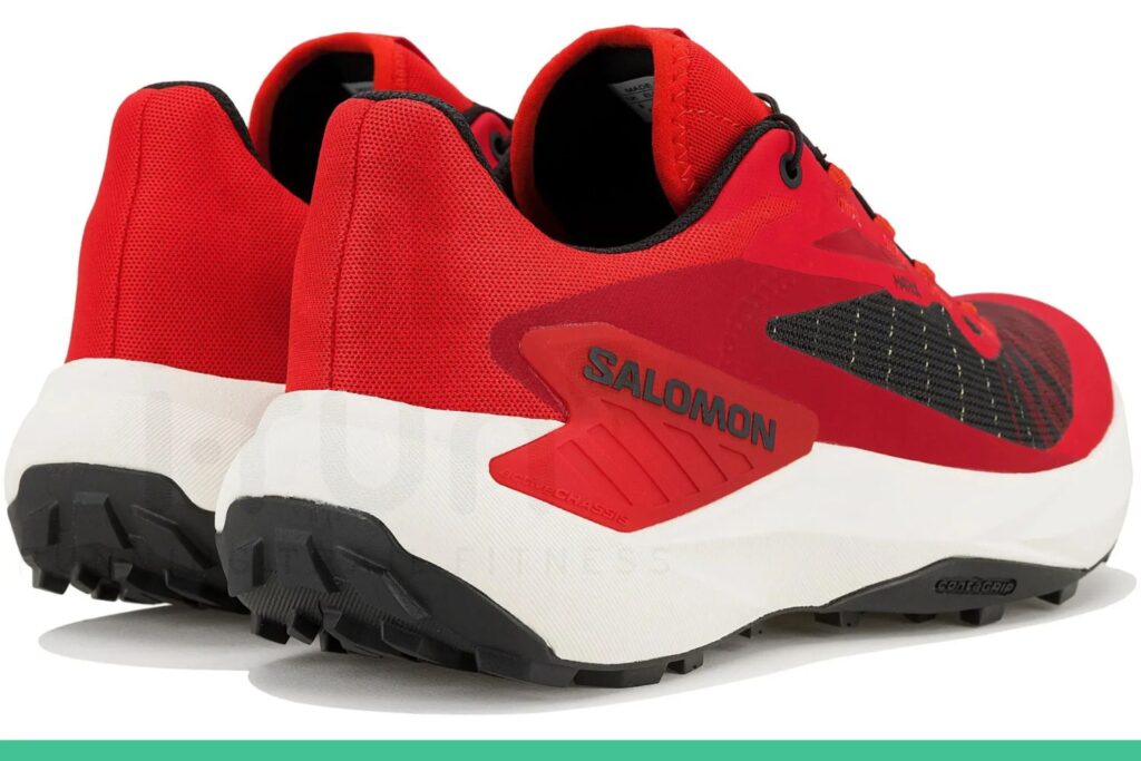 Salomon Genesis mesh