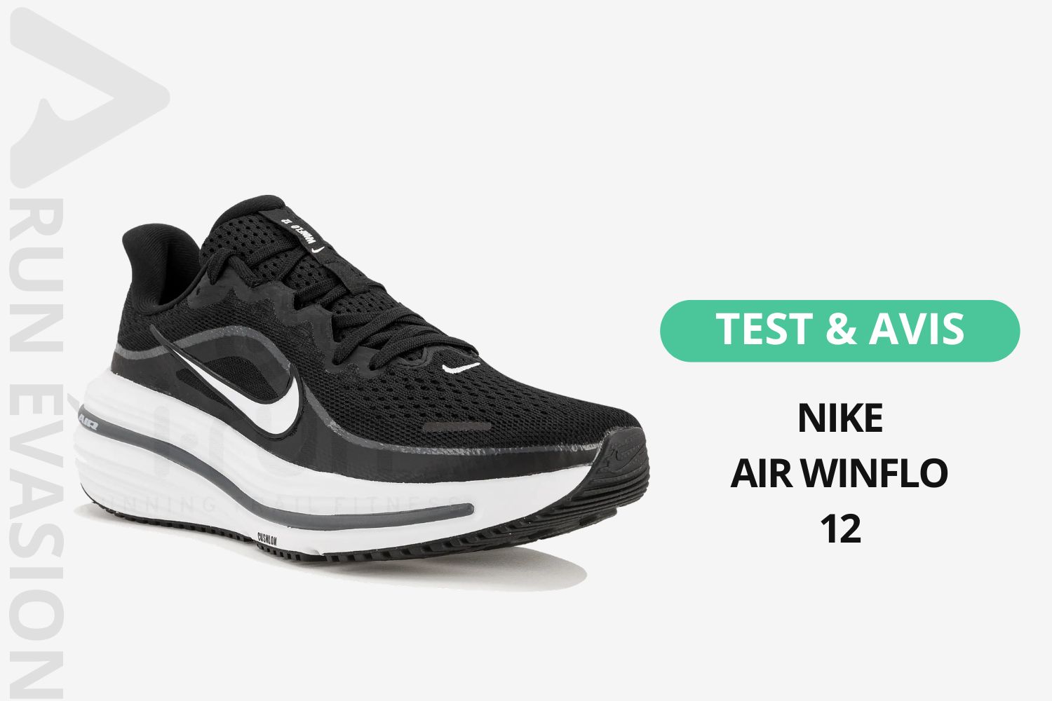 Nike Air Winflo 12 test